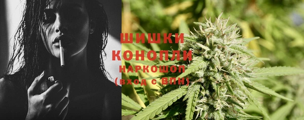 спайс Арсеньев