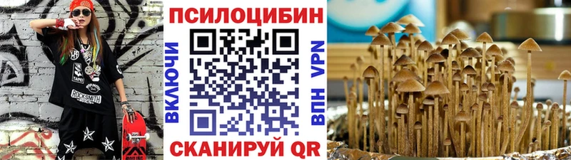 это формула  магазин  наркотиков  Болхов  Галлюциногенные грибы Psilocybine cubensis 